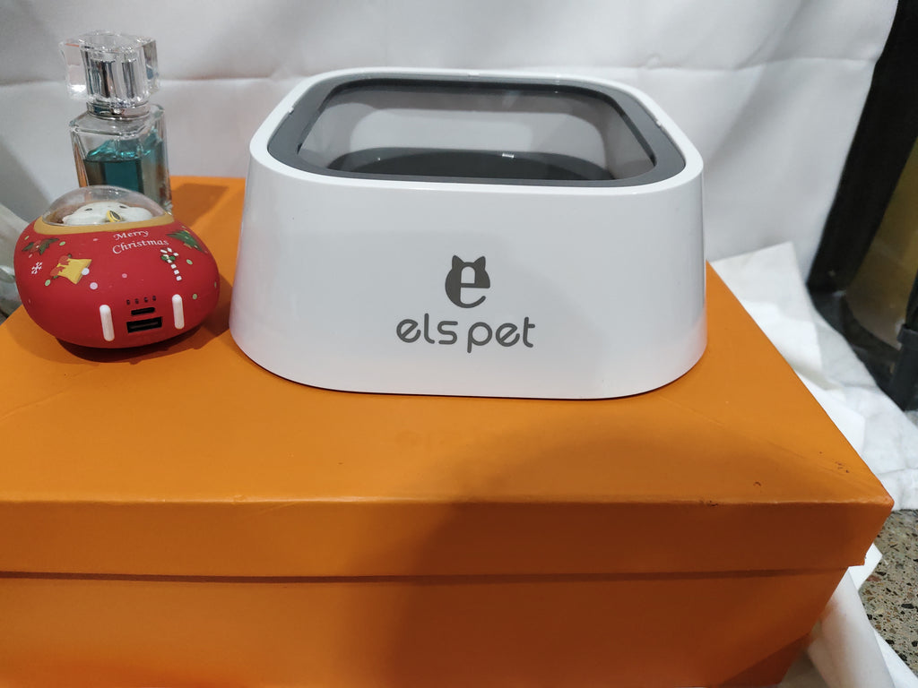 Portable Dog Bowl Pet